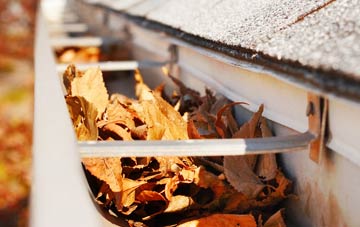Mountain Street gutter cleaning companies