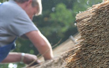 professional Mountain Street thatchers